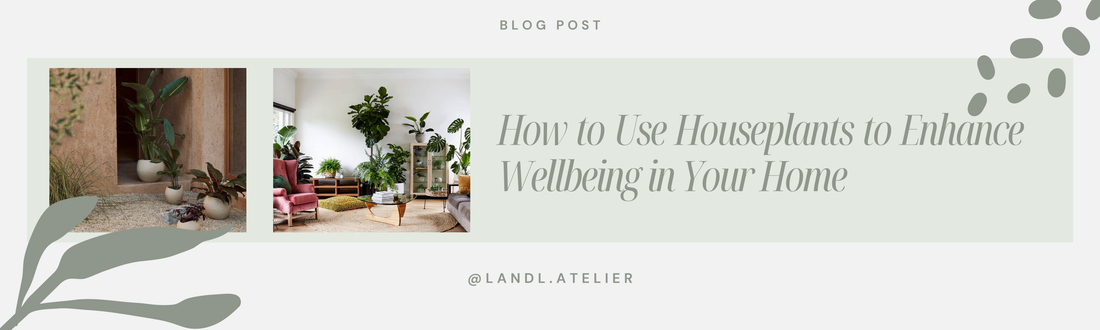 How to Use Houseplants to Enhance Wellbeing in Your Home