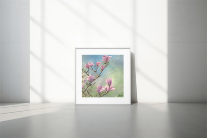 'Magnolia blossoms' wall art print